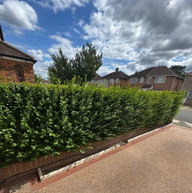 Affordable gardening services London uk