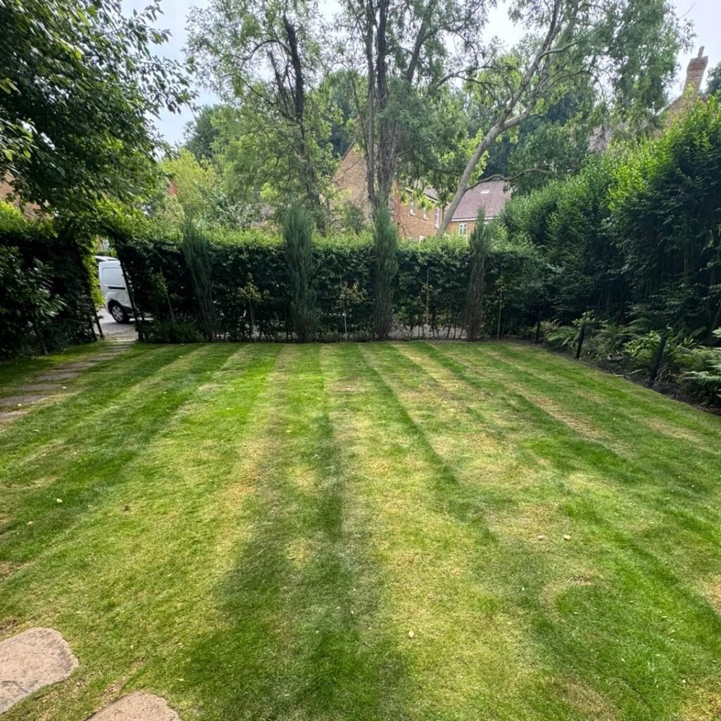 Garden turf replacement London